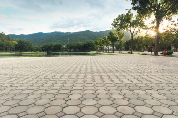 Best Cobblestone Driveway Pavers  in Davie, FL