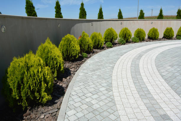 Best Driveway Pavers for Homes  in Davie, FL